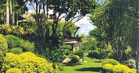  Journey into Philippine Gardens: A Chronicle of Cultivated Paradise