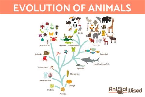  Origin of Species: Um Dilema Evolutivo Entre os Afloramentos Etiópes